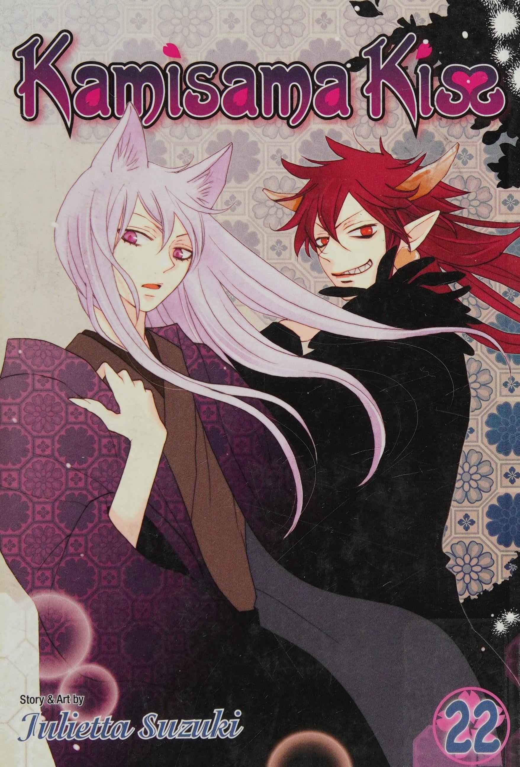 Kamisama Kiss Vol. 22 cover