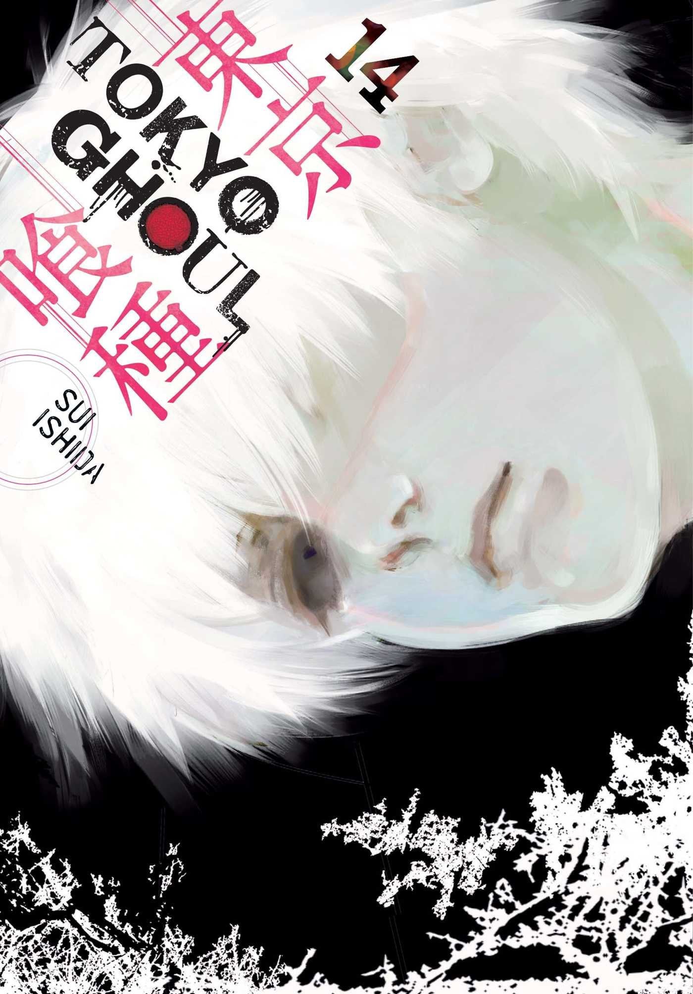Tokyo Ghoul Vol. 14 cover