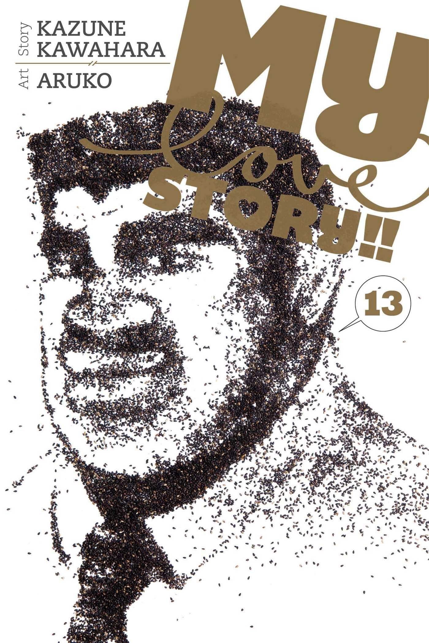 My Love Story!! Vol. 13 cover