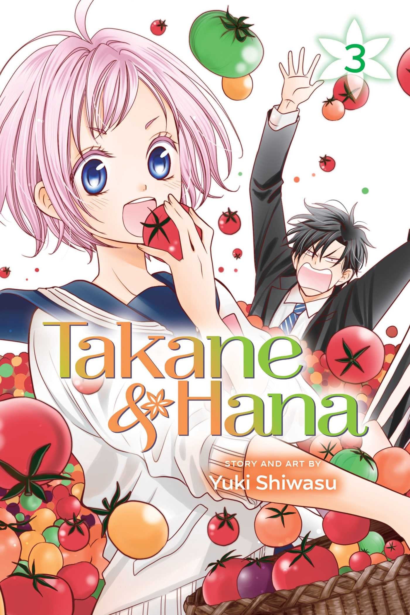 Takane & Hana Vol. 3 cover