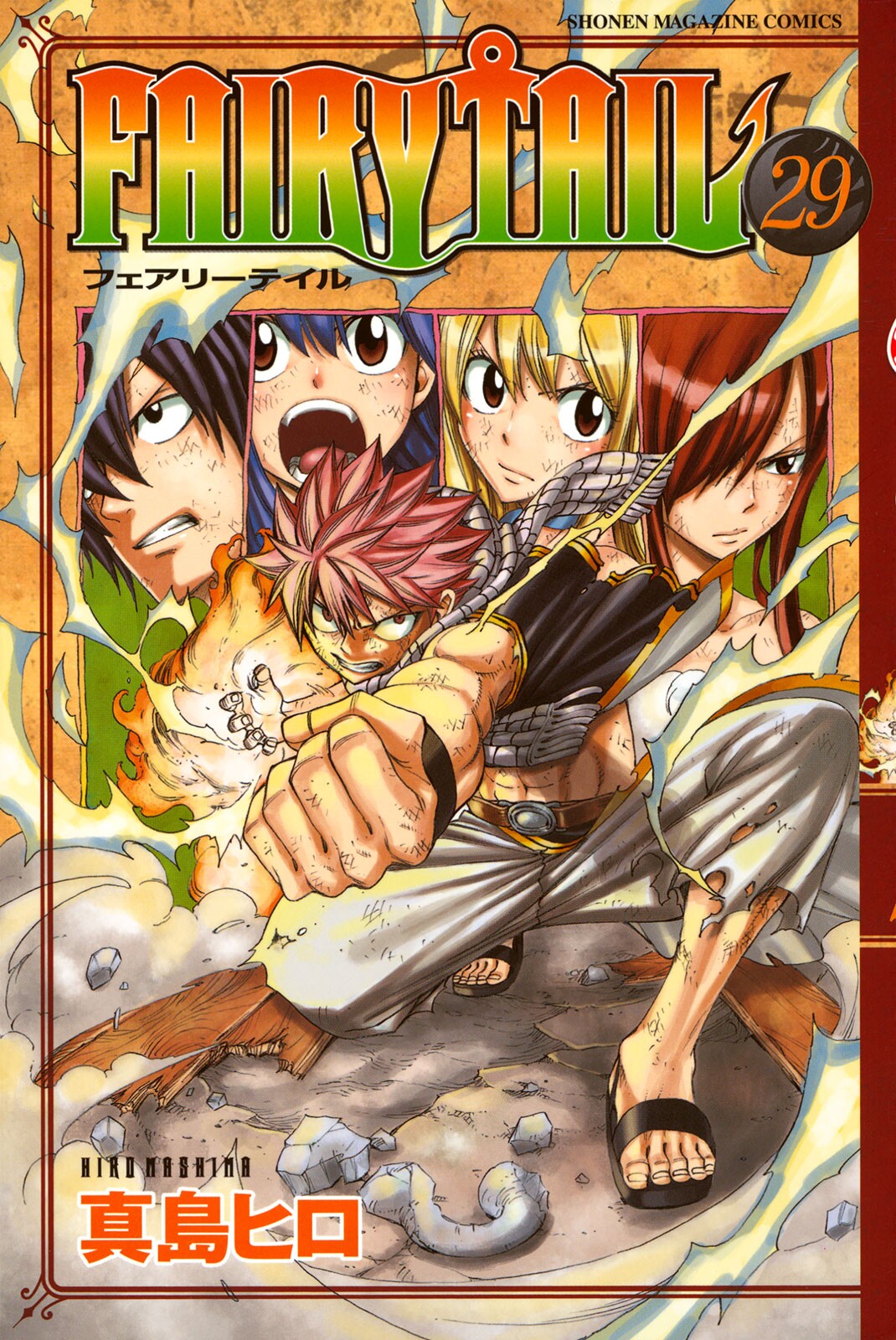 Fairy Tail Vol. 29 cover