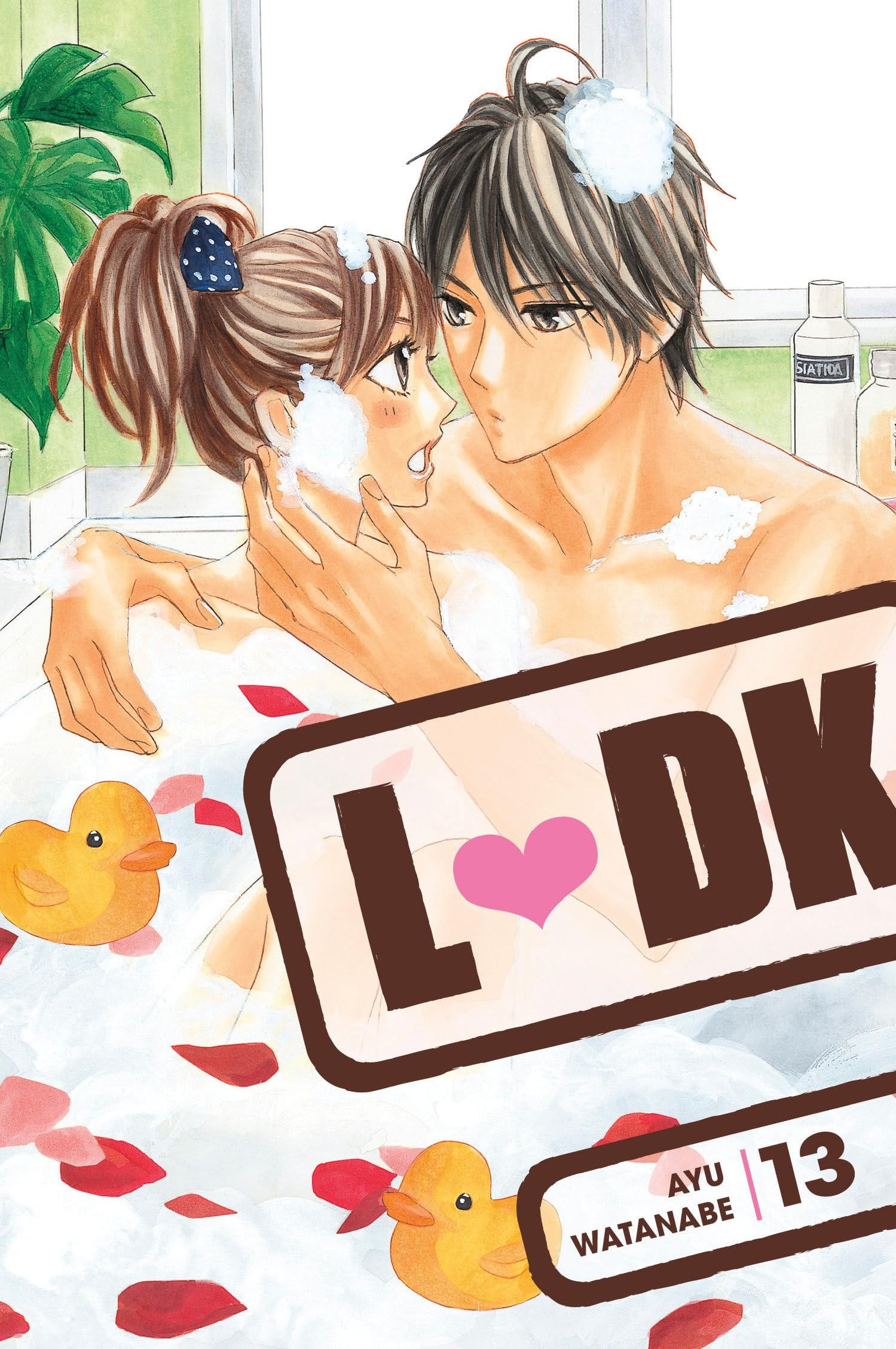 LDK Vol. 13 cover