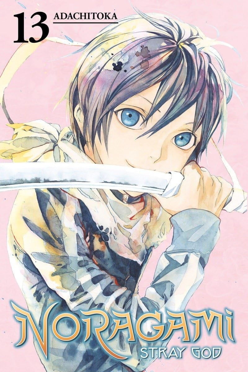 Noragami: Stray God Vol. 13 cover