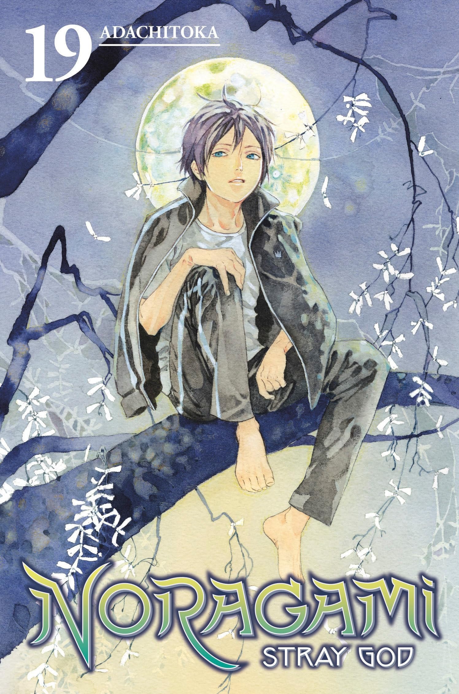 Noragami: Stray God Vol. 19 cover