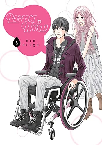 Perfect World Vol. 6 cover