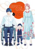 Perfect World Vol. 12 cover