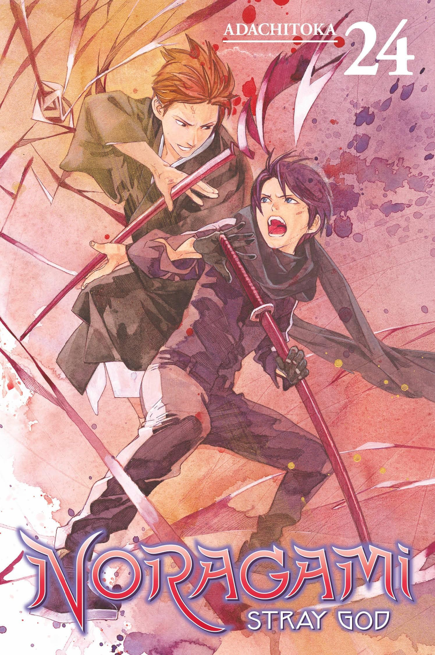 Noragami: Stray God Vol. 24 cover