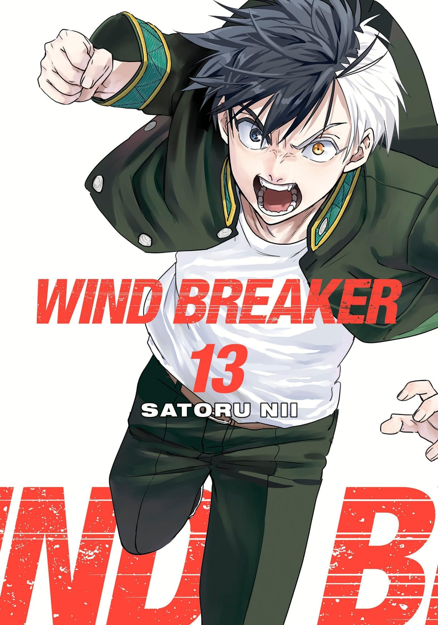 Wind Breaker Vol. 13 cover