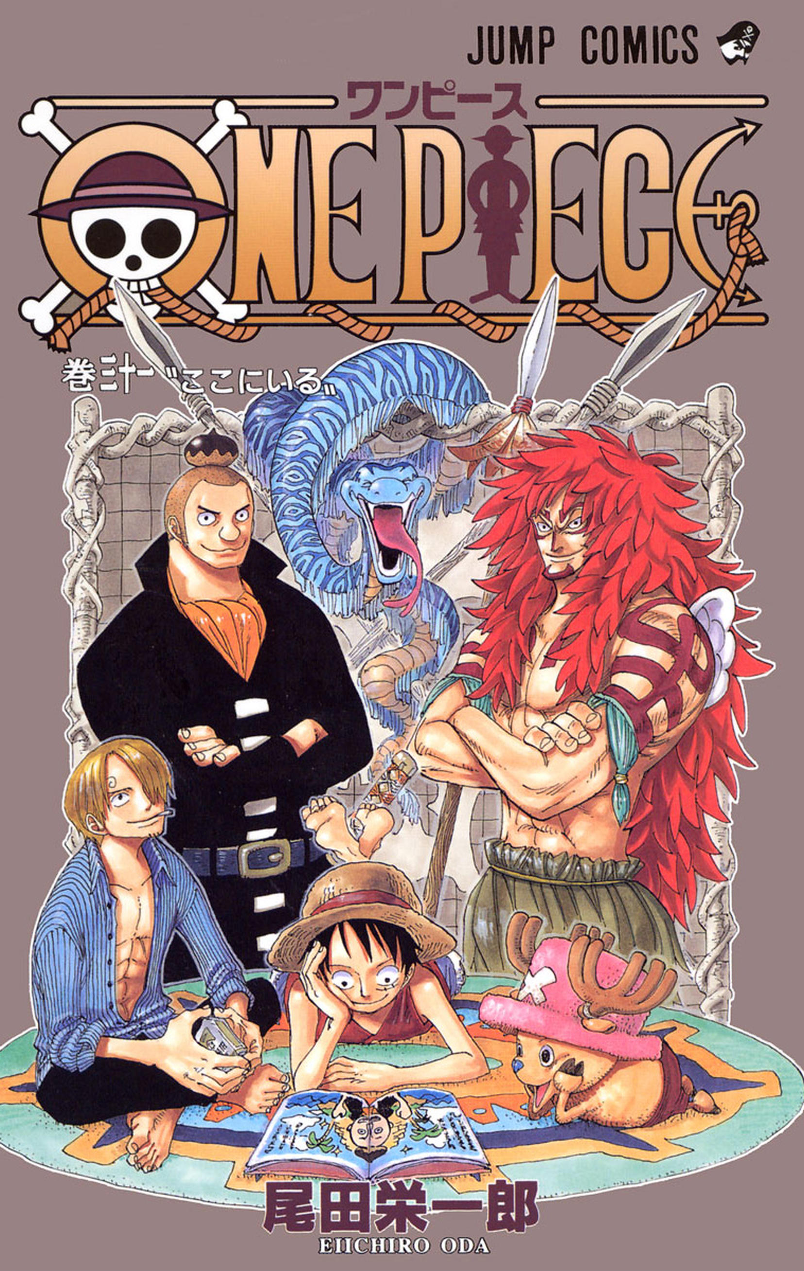 One Piece Vol. 31 cover