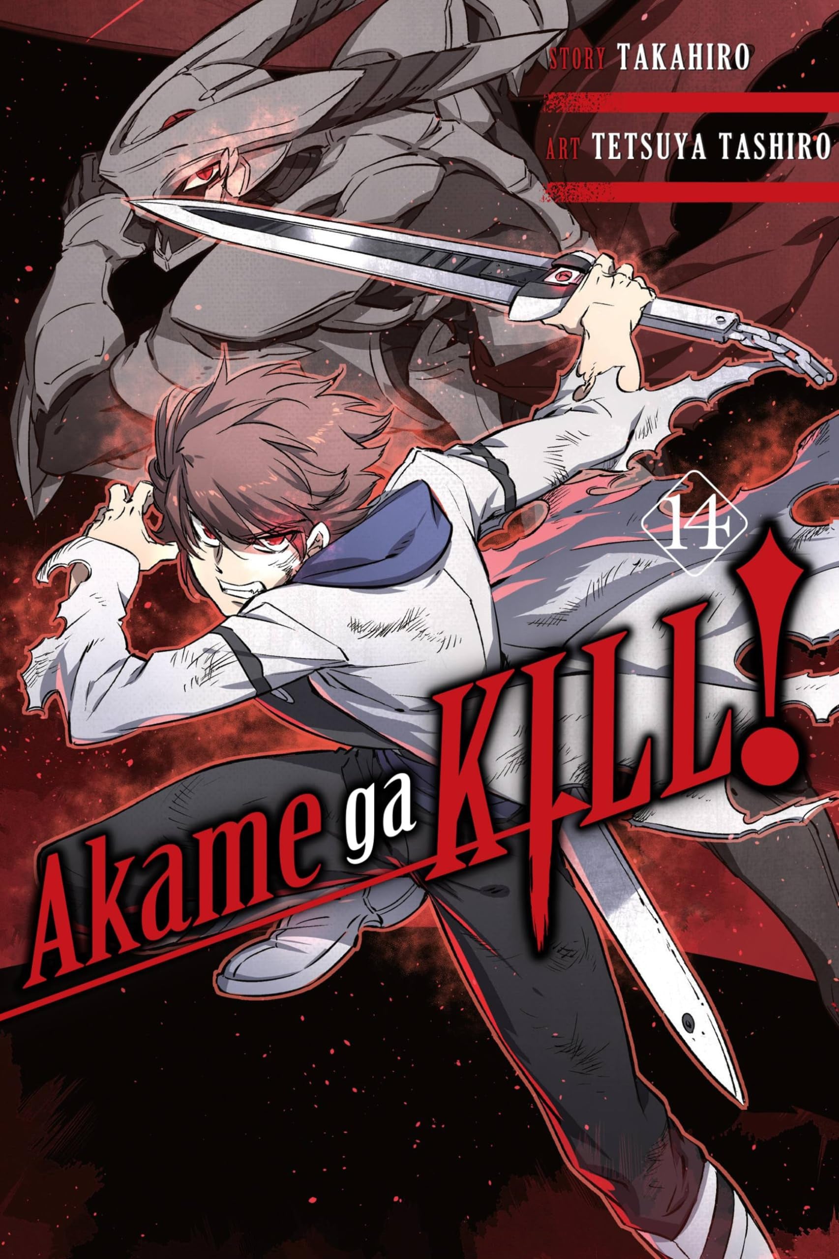 Akame ga KILL! Vol. 14 cover
