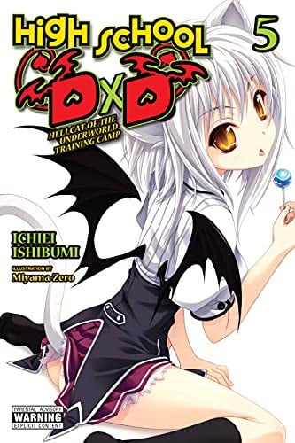 High School DxD (Light Novel) Vol. 5 cover