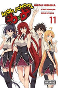 High School DxD Vol. 11 cover