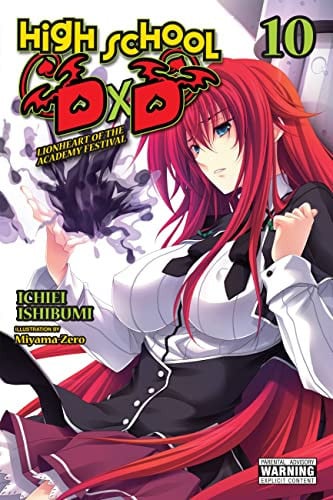 High School DxD (Light Novel) Vol. 10 cover