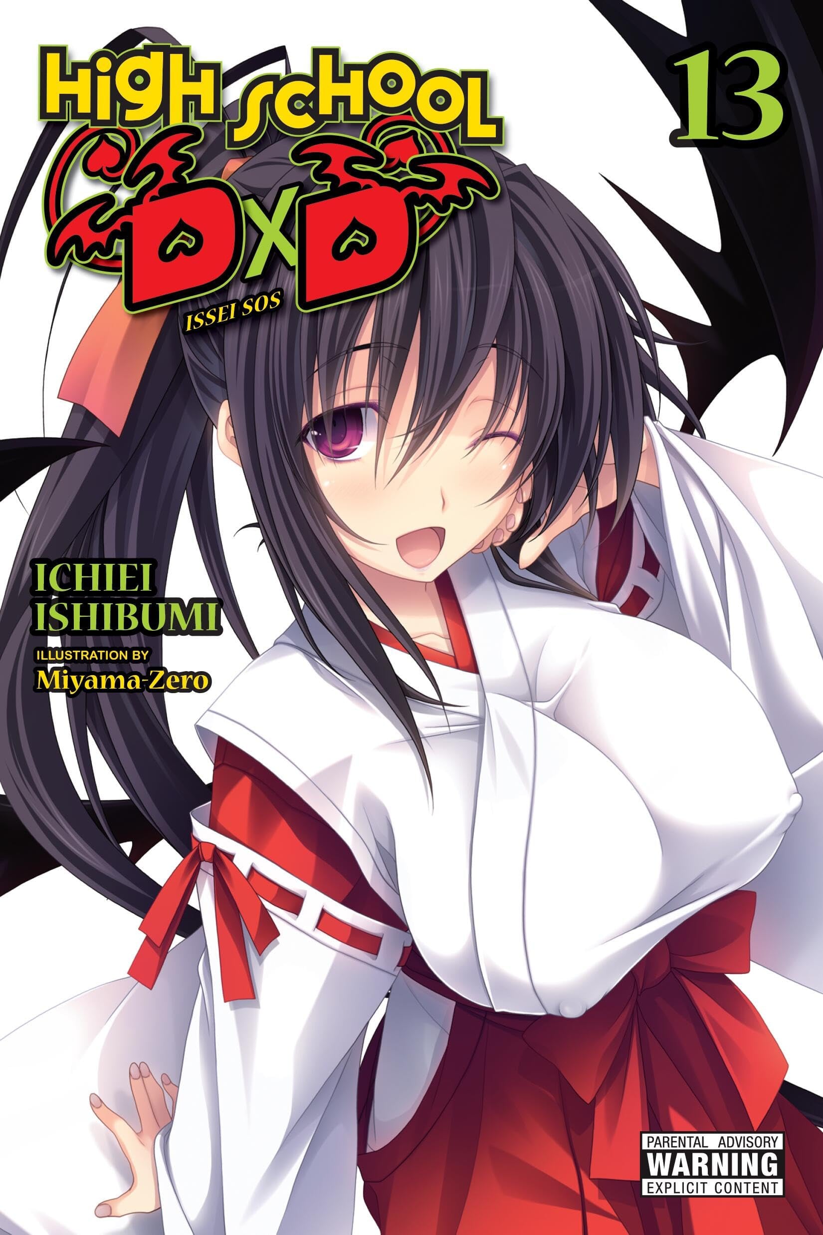 High School DxD (Light Novel) Vol. 13 cover