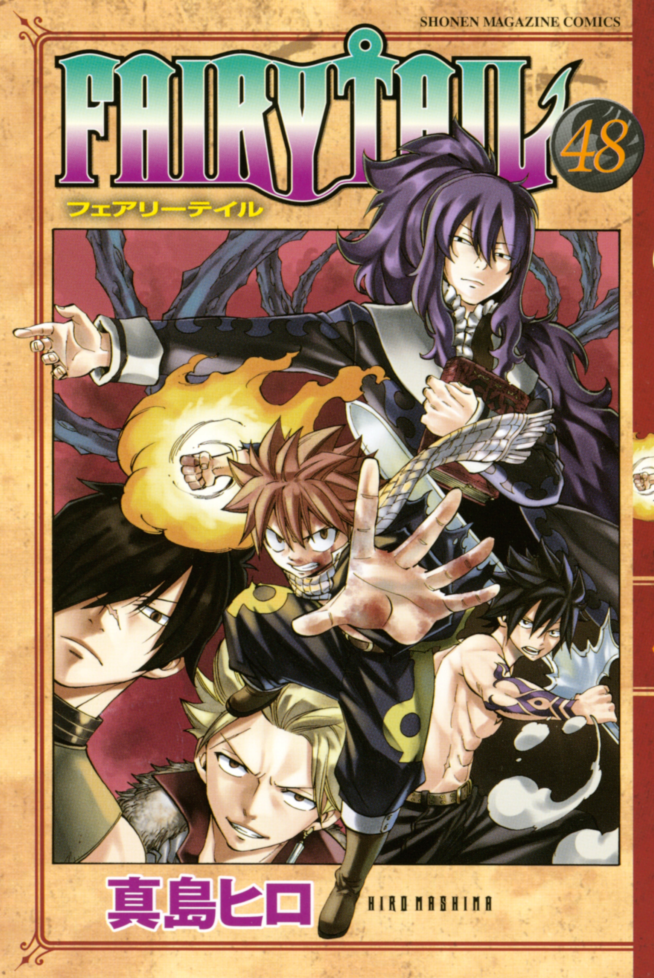 Fairy Tail Vol. 48 cover
