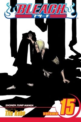 Bleach Vol. 15 cover