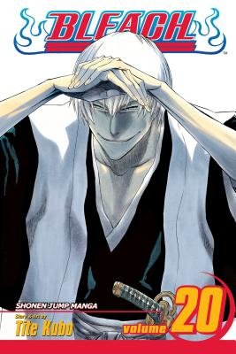 Bleach Vol. 20 cover