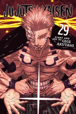 Jujutsu Kaisen Vol. 29 cover