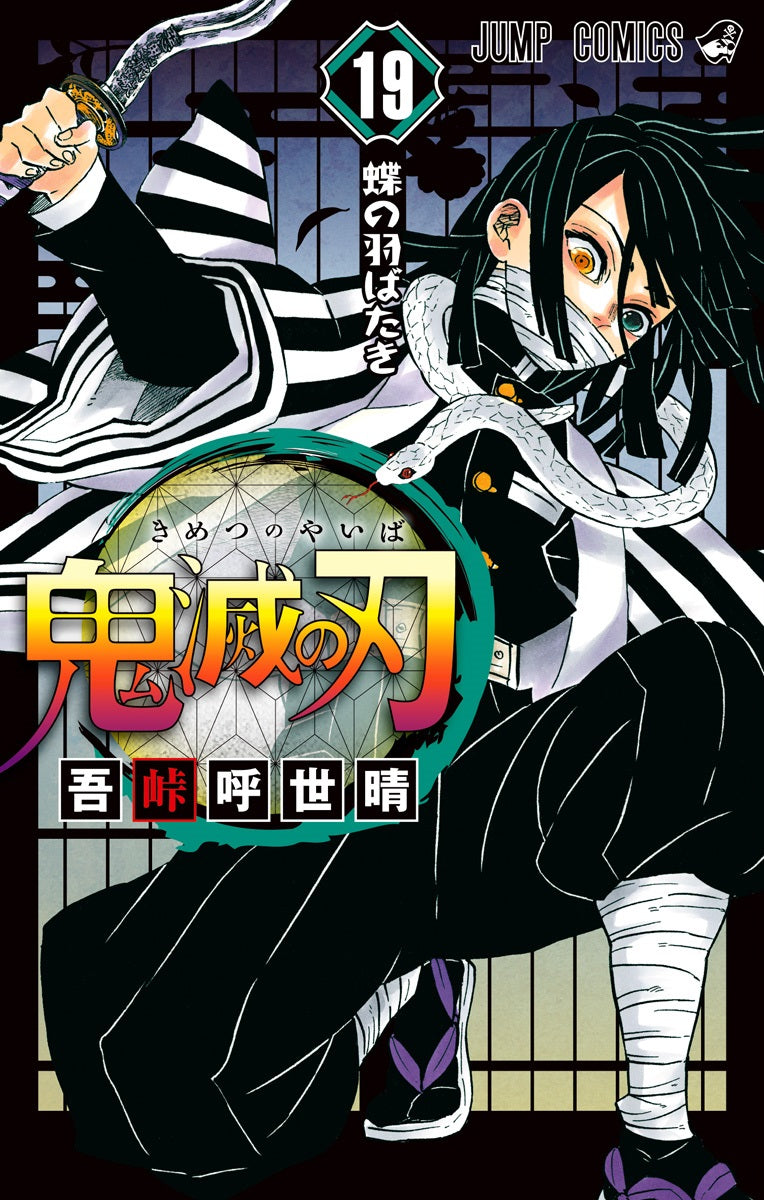 Demon Slayer: Kimetsu no Yaiba Vol. 19 cover