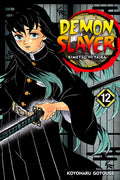 Demon Slayer: Kimetsu no Yaiba Vol. 12 cover