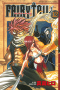 Fairy Tail Vol. 12 cover