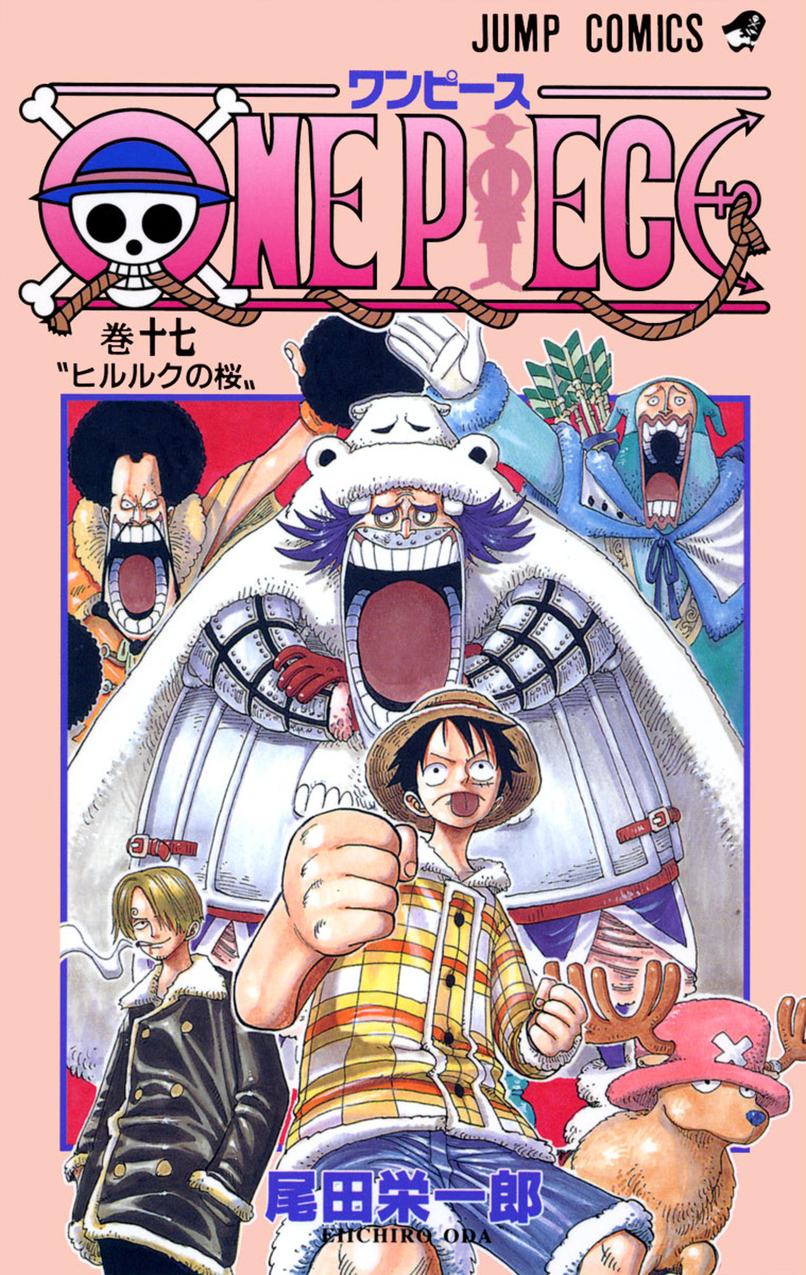 One Piece Vol. 17 cover
