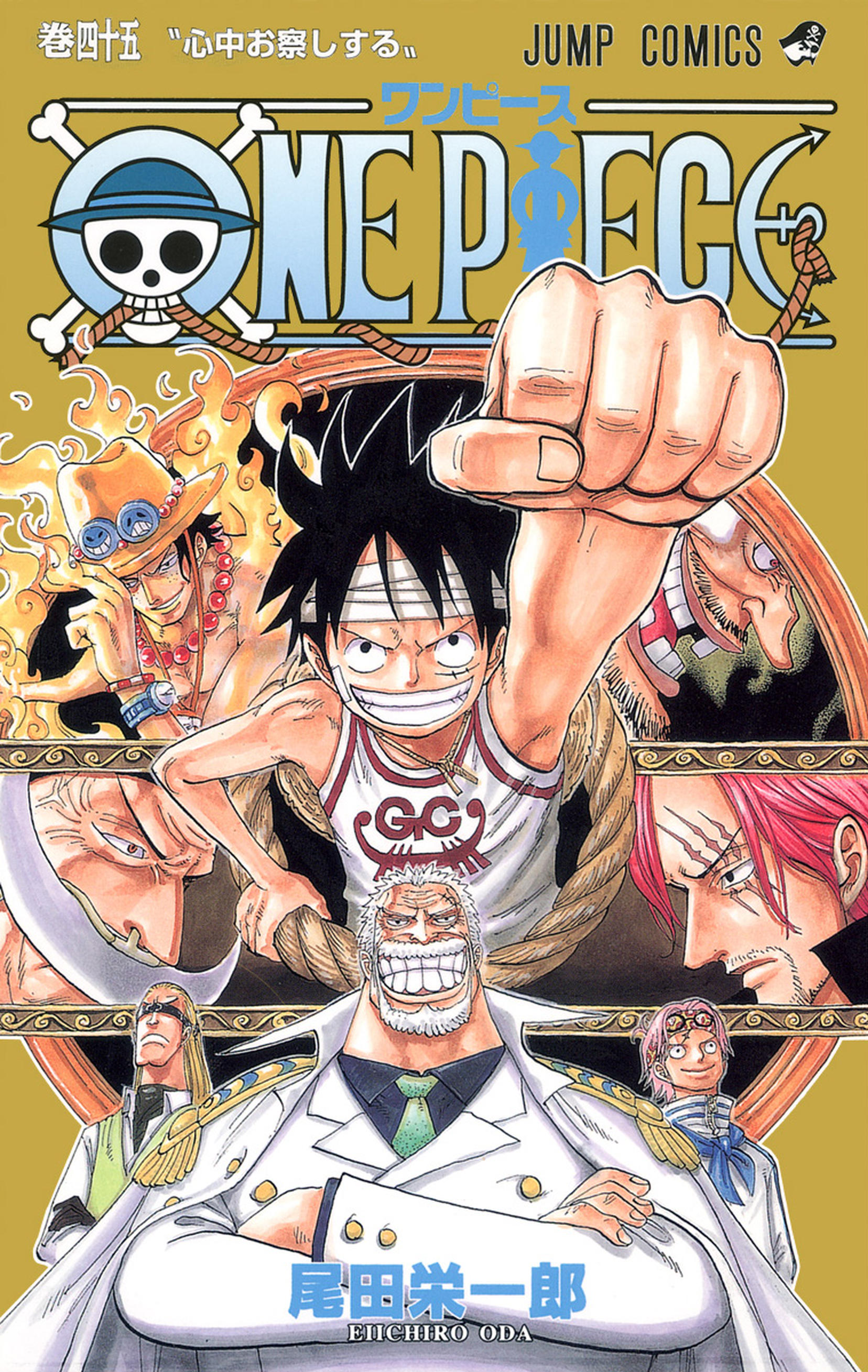 One Piece Vol. 45 cover